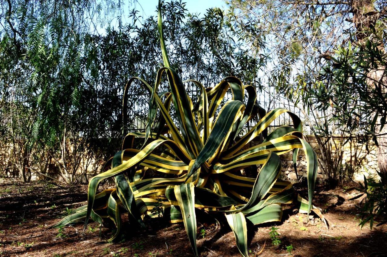 טורה לפילו Agriturismo Caranna מראה חיצוני תמונה